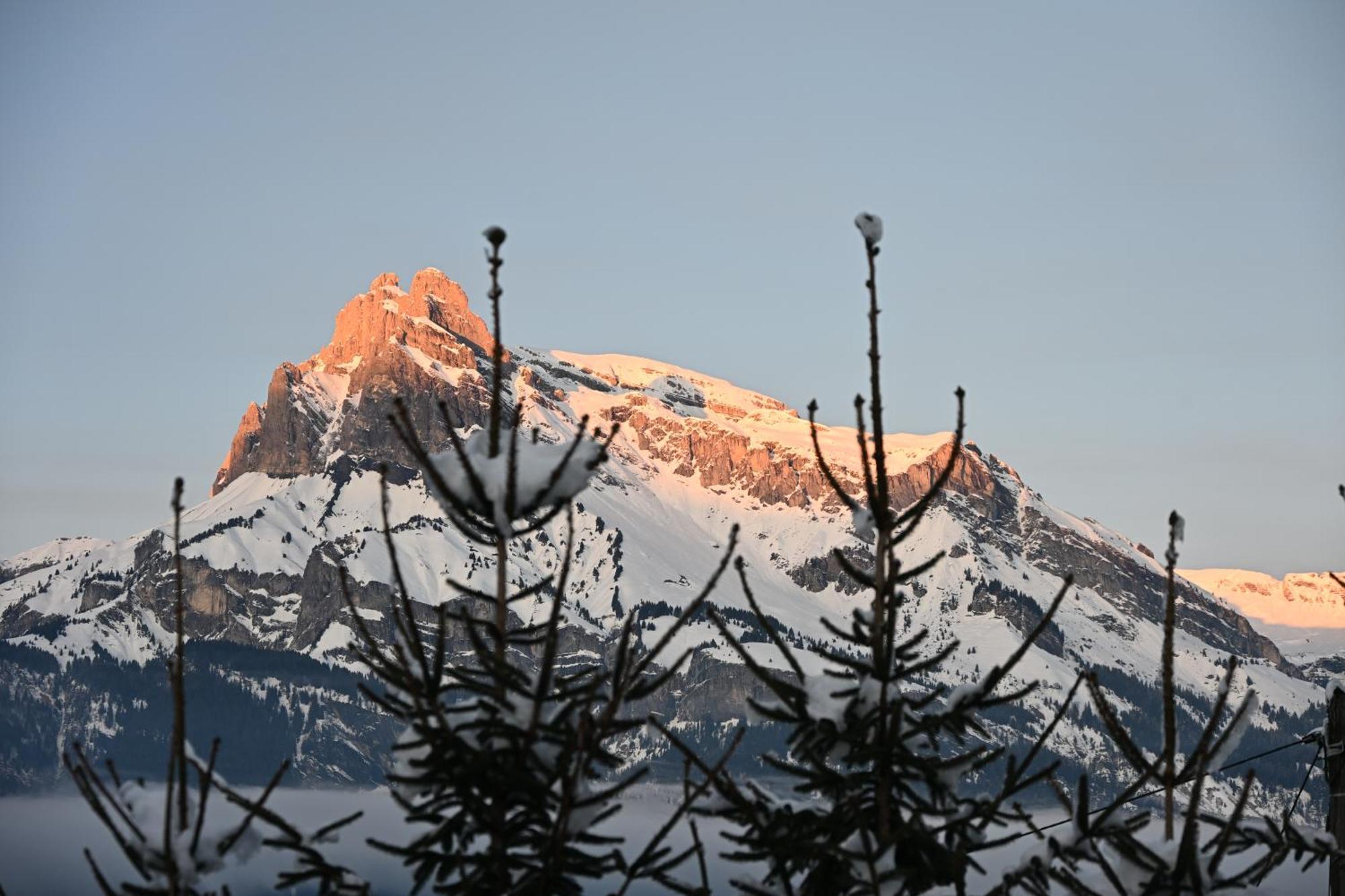 Chalet Montana Combloux Εξωτερικό φωτογραφία